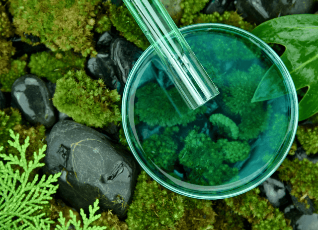An Introduction to Conservation Biology course image