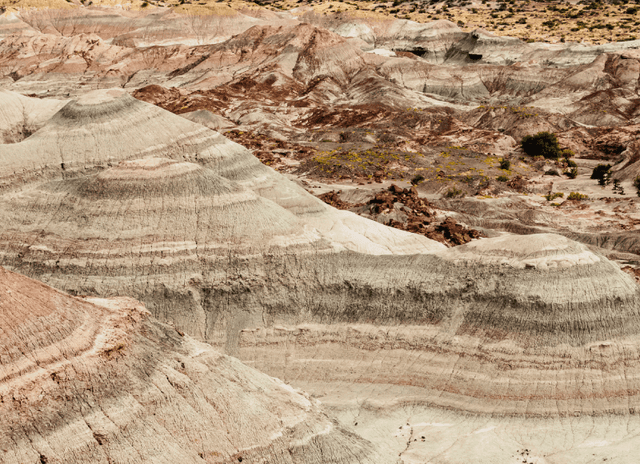 Introduction to Geology: Reading the Earth's Story course image